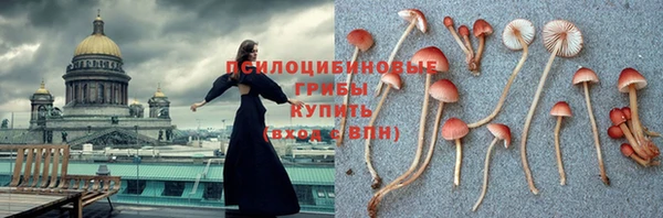 COCAINE Ладушкин