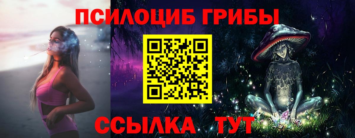 Пятигорск  Галлюциногенные грибы мицелий  даркнет сайт  Вход с VPN 
