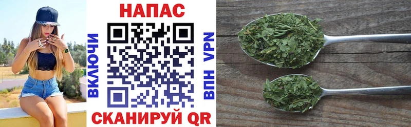 Бошки марихуана SATIVA & INDICA  Пятигорск 